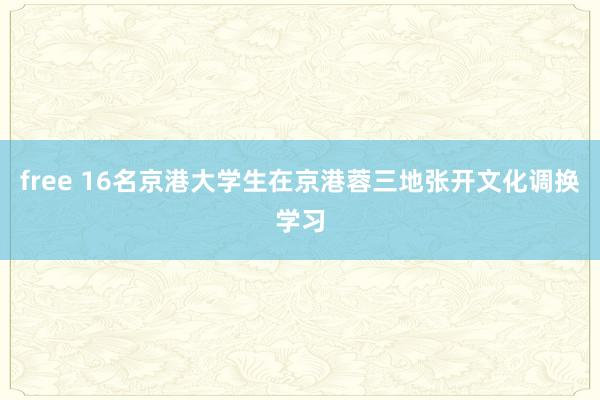 free 16名京港大学生在京港蓉三地张开文化调换学习