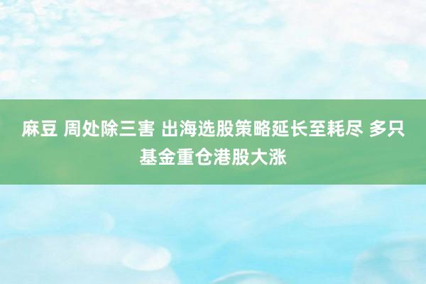 麻豆 周处除三害 出海选股策略延长至耗尽 多只基金重仓港股大涨