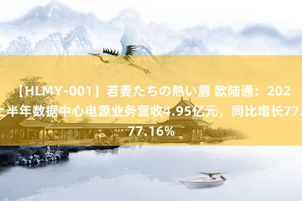 【HLMY-001】若妻たちの熱い唇 欧陆通:2024年上半年数据中心电源业务营收4.95亿元,同比增长77.16%