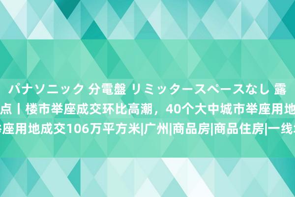 パナソニック 分電盤 リミッタースペースなし 露出・半埋込両用形 早八点丨楼市举座成交环比高潮，40个大中城市举座用地成交106万平方米|广州|商品房|商品住房|一线城市|房地产市集