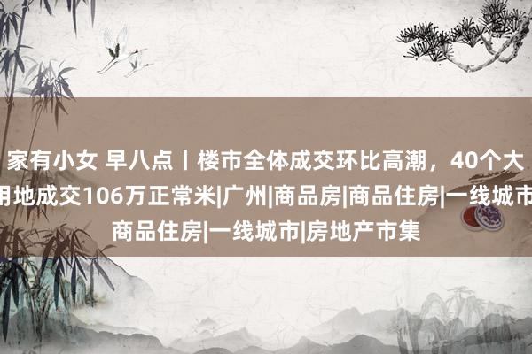 家有小女 早八点丨楼市全体成交环比高潮，40个大中城市全体用地成交106万正常米|广州|商品房|商品住房|一线城市|房地产市集