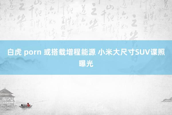 白虎 porn 或搭载增程能源 小米大尺寸SUV谍照曝光