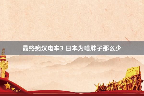 最终痴汉电车3 日本为啥胖子那么少