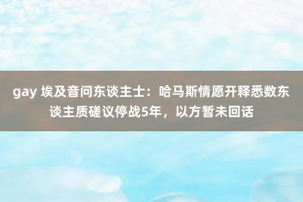 gay 埃及音问东谈主士：哈马斯情愿开释悉数东谈主质磋议停战5年，以方暂未回话