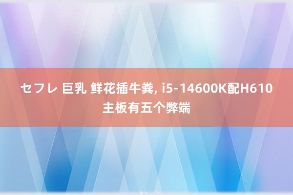 セフレ 巨乳 鲜花插牛粪， i5-14600K配H610主板有五个弊端