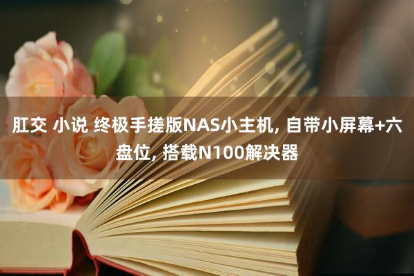 肛交 小说 终极手搓版NAS小主机， 自带小屏幕+六盘位， 搭载N100解决器