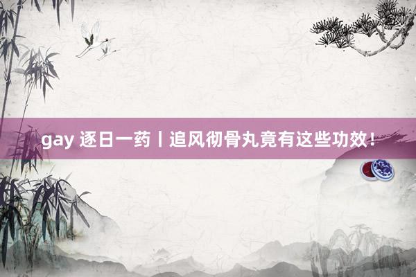 gay 逐日一药丨追风彻骨丸竟有这些功效！