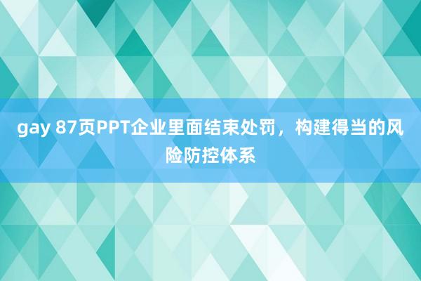 gay 87页PPT企业里面结束处罚，构建得当的风险防控体系